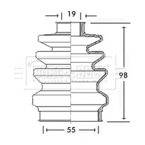 BCB2418 BORG & BECK