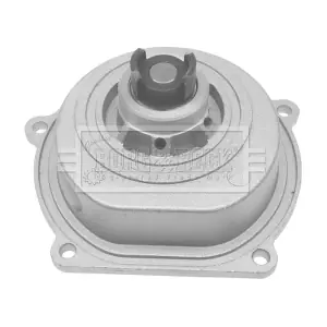 BWP1800 BORG & BECK