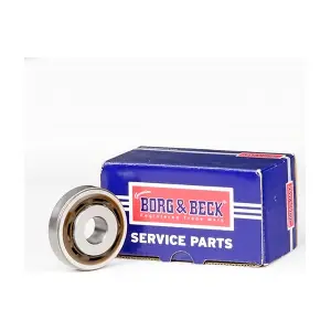 BSM5281 BORG & BECK