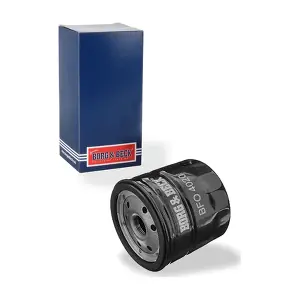 BFO4020 BORG & BECK