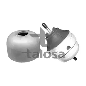 61-05308 TALOSA