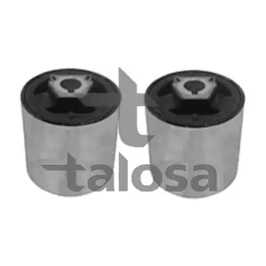 57-21295 TALOSA