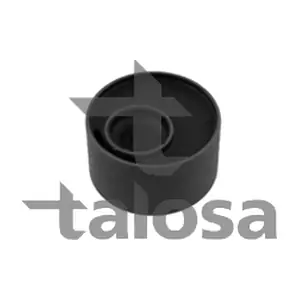 57-21330 TALOSA