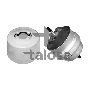 61-06577 TALOSA