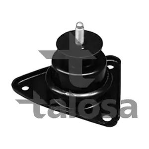 61-13691 TALOSA