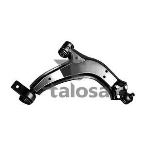 4009823 TALOSA