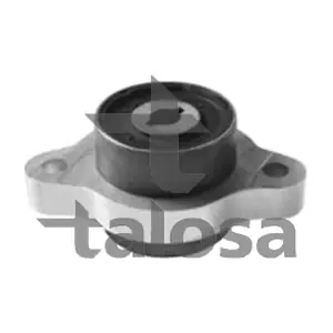 57-06170 TALOSA