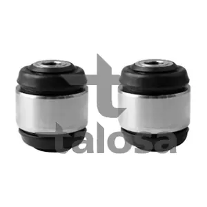 57-21315 TALOSA