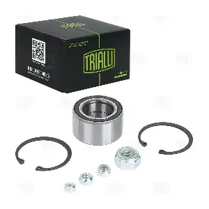 CS 2028 TRIALLI