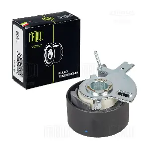 CM 6063 TRIALLI