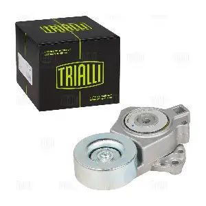 CM 3038 TRIALLI