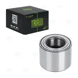 CS 1725 TRIALLI