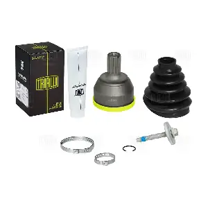 GO 106101 TRIALLI