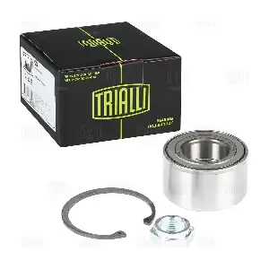 CS 1895 TRIALLI