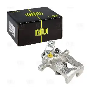 CF 032019 TRIALLI
