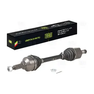 AR 1052 TRIALLI
