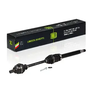 AR 1008 TRIALLI