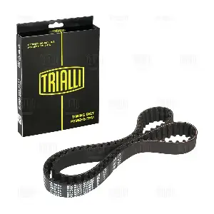 GB 8856 TRIALLI