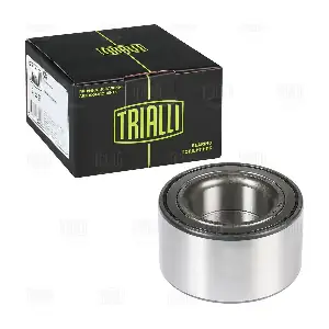CS 1628 TRIALLI