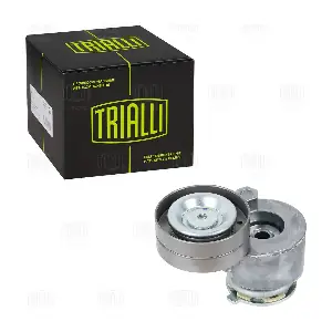 CM 5272 TRIALLI