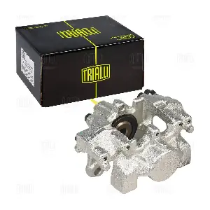 CF 032009 TRIALLI