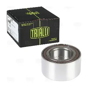 CS 1181 TRIALLI