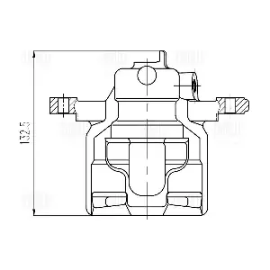 CF 800451 TRIALLI