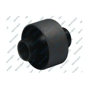 GSP-513971 MDR