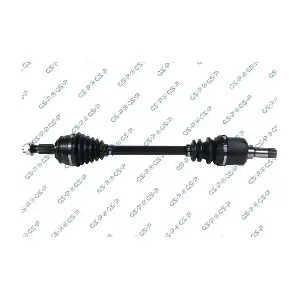 GSP-204170 MDR