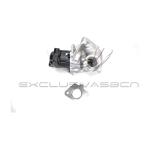 EEG-CP03 MDR