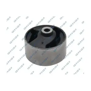 GSP-513179 MDR