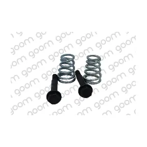 GOM-ESK0017 MDR