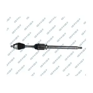 GSP-262091 MDR