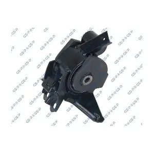 GSP-510969 MDR