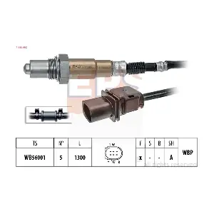 EPS-1998 462 MDR