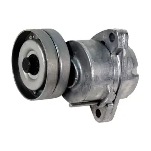 GOM-BT0027 MDR