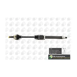 DS2304R BGA