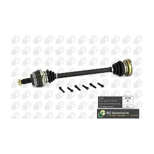 DS0900R BGA