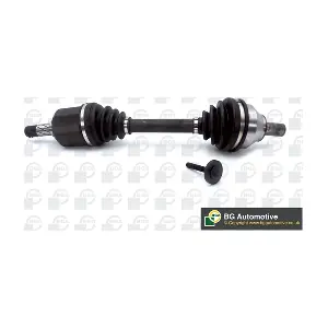 DS2306L BGA