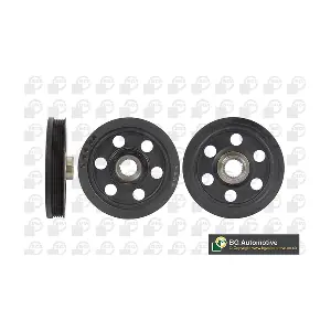 DP2500 BGA