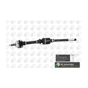 DS1409RA BGA