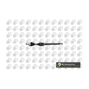 DS2306R BGA