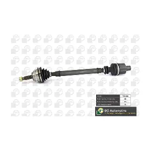 DS7317RA BGA