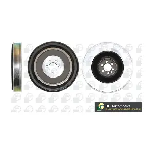 DP1001 BGA