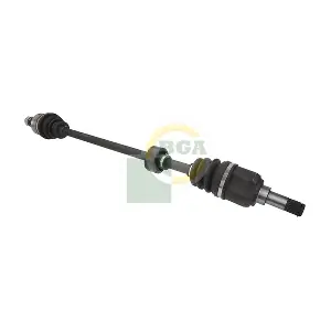 DS2218R BGA