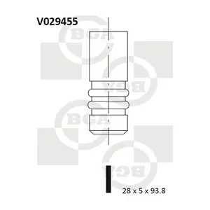 V029455 BGA