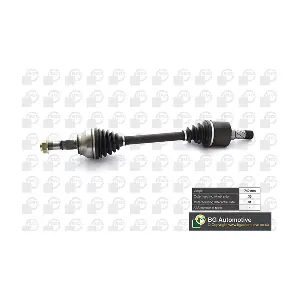 DS6738L BGA