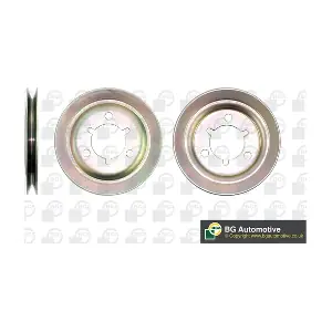 DP1098 BGA