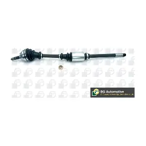 DS1402R BGA