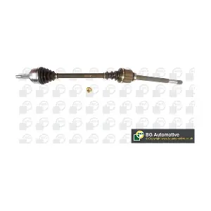 DS7359R BGA